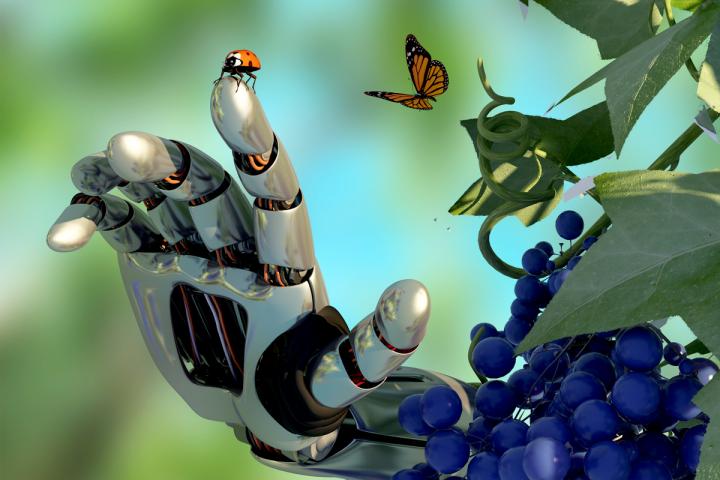 Czym jest Robotic Process Automation (Zrobotyzowana Automatyzacja Procesów) w 2022 r.?